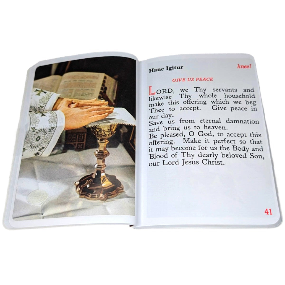 Latin Mass Picture Missal (Marian Children's Missal)