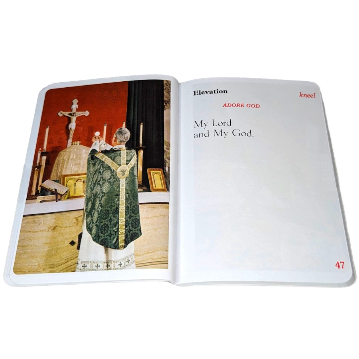 Latin Mass Picture Missal (Marian Children's Missal)