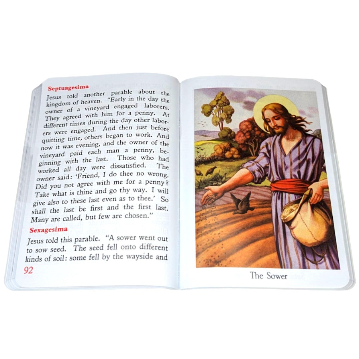 Latin Mass Picture Missal (Marian Children's Missal)