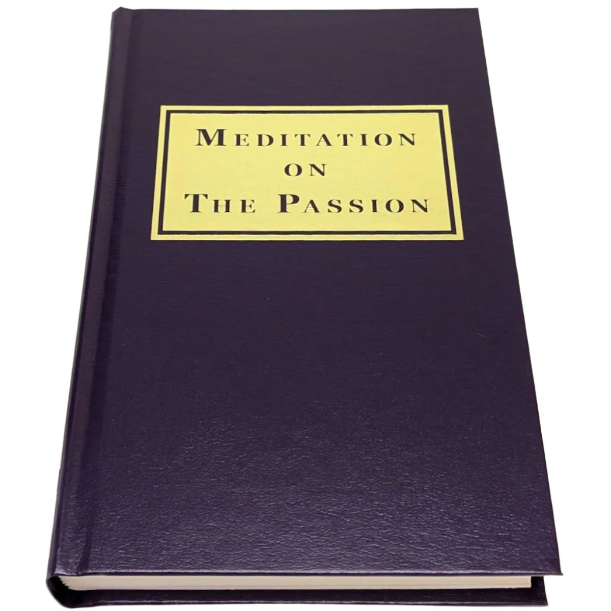 Meditation on the Passion