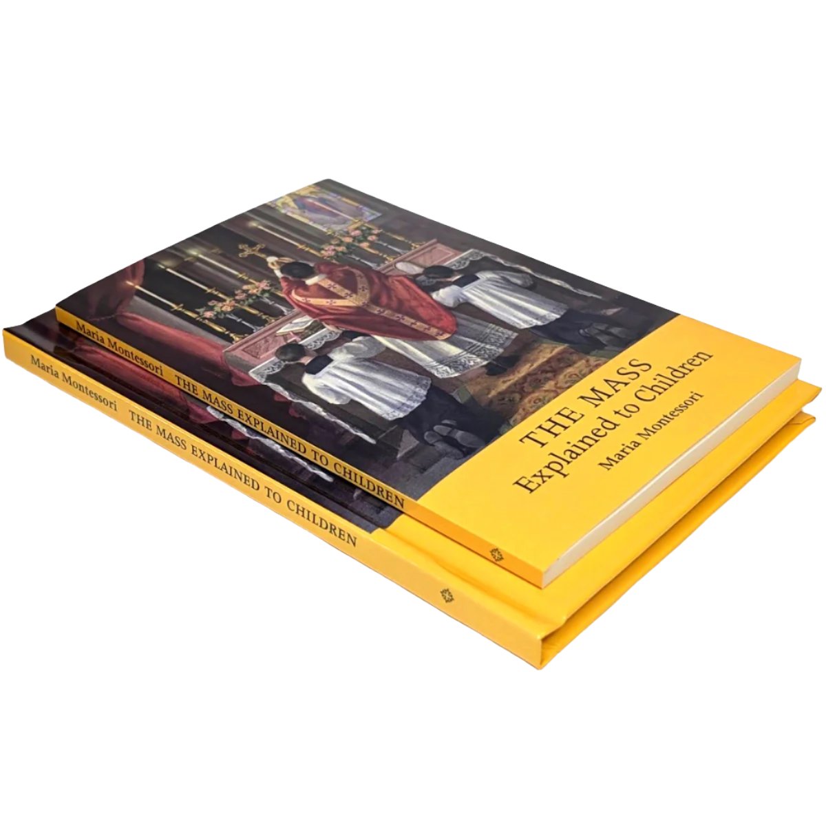 The Mass Explained to Children – Latin Mass Helper Store