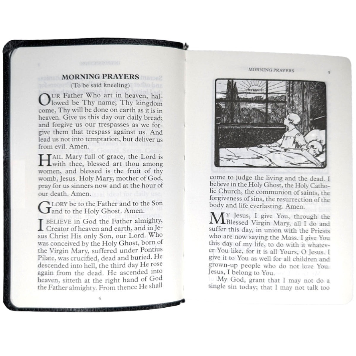 A Young Catholic's Daily Missal