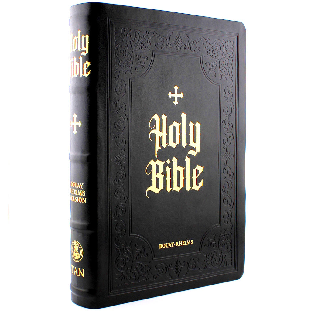 Douay-Rheims Bible, Large Print (Leatherette Cover)